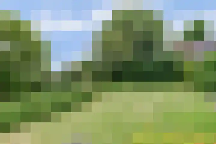 Buitenlanden 6 Heinenoord thumbnail 34