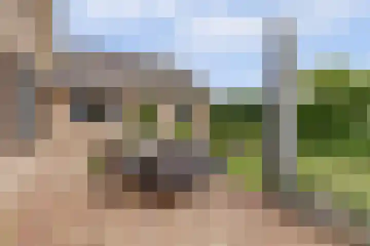 Buitenlanden 6 Heinenoord thumbnail 35