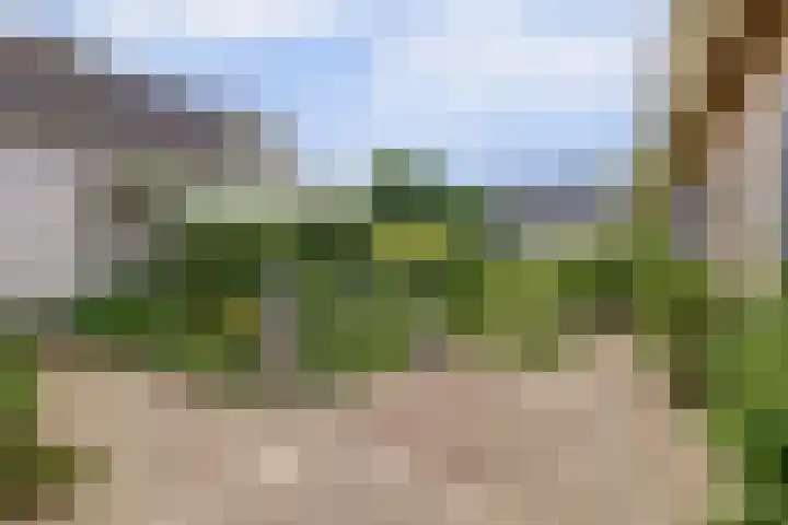 Buitenlanden 6 Heinenoord thumbnail 36