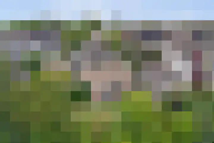 Buitenlanden 6 Heinenoord thumbnail 38