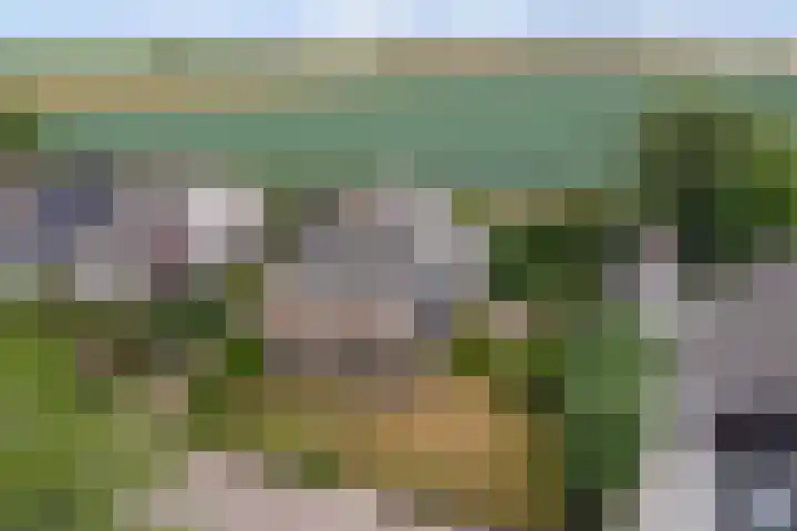 Buitenlanden 6 Heinenoord thumbnail 39