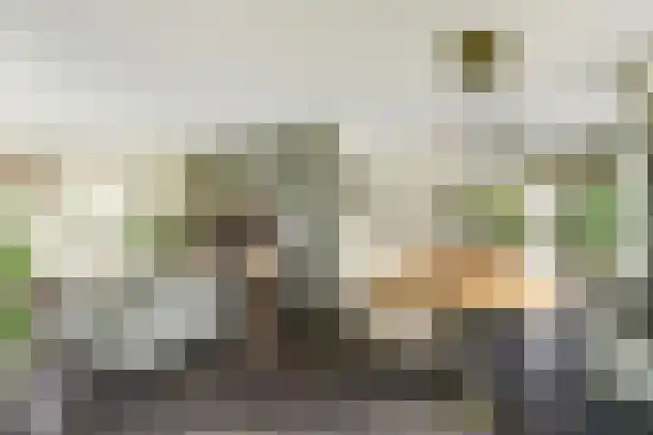Buitenlanden 6 Heinenoord thumbnail 4