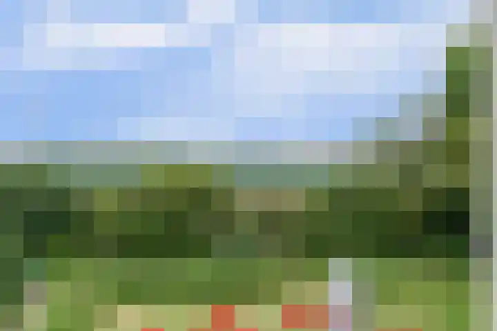 Buitenlanden 6 Heinenoord thumbnail 6