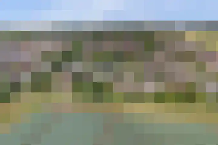 Buitenlanden 6 Heinenoord thumbnail 7
