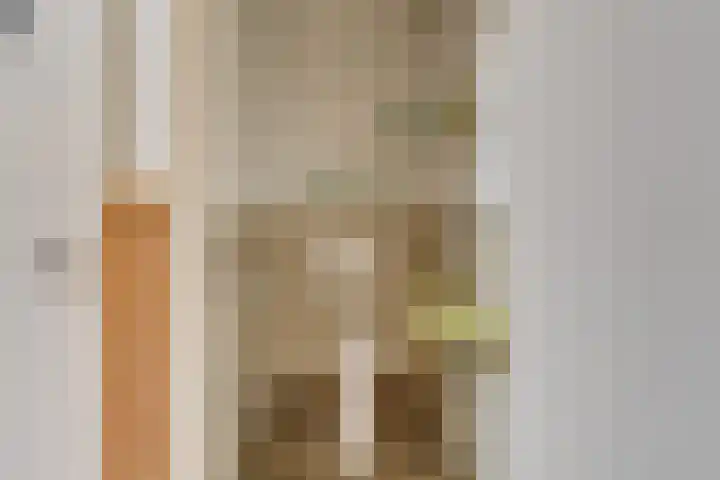 Buitenlandpoort 28 Vianen thumbnail 14
