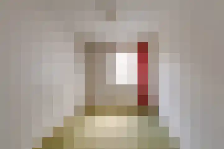 Buitenlandpoort 28 Vianen thumbnail 27