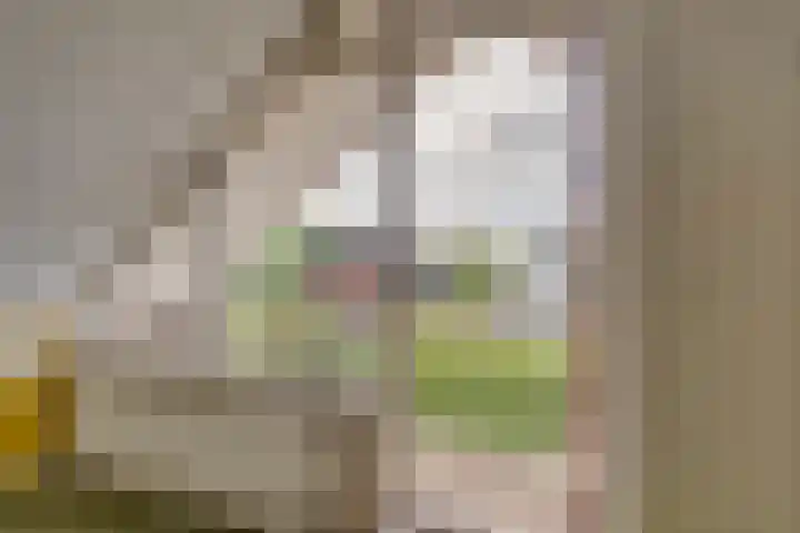 Buitenlandpoort 28 Vianen thumbnail 36