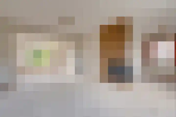 Buitenlandpoort 28 Vianen thumbnail 4