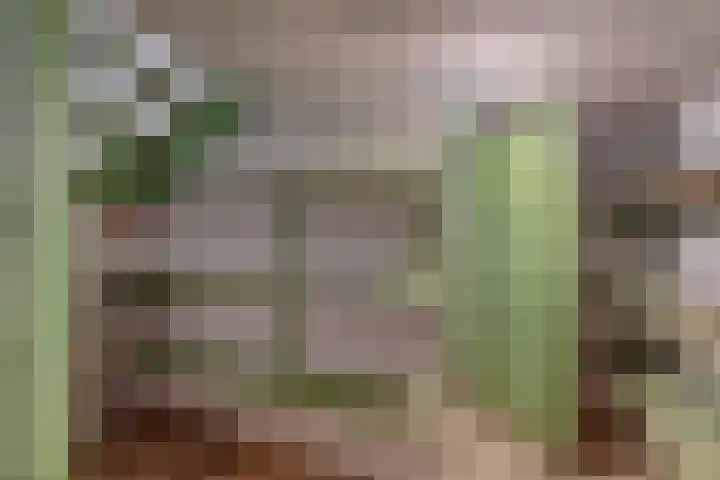 Buitenlandpoort 28 Vianen thumbnail 43