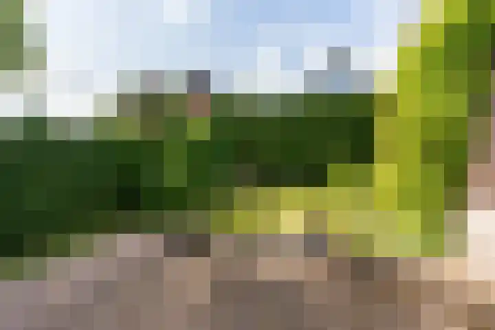 Buitenlandpoort 28 Vianen thumbnail 45