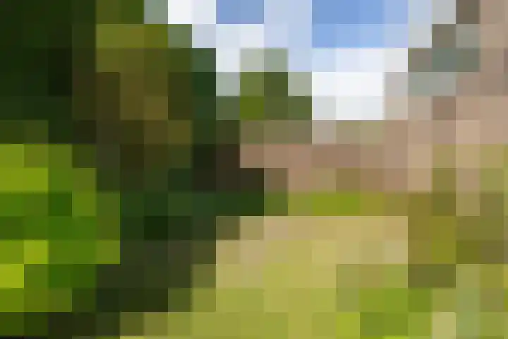Buitenlandpoort 28 Vianen thumbnail 46