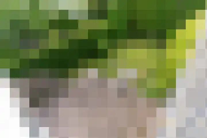 Buitenlandpoort 28 Vianen thumbnail 47