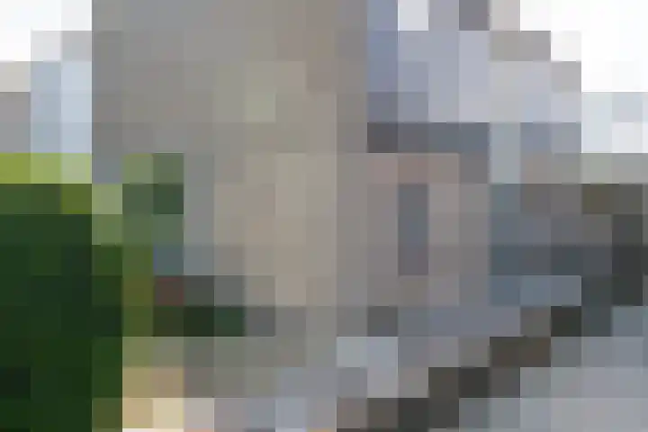 Buitenlandpoort 28 Vianen thumbnail 51