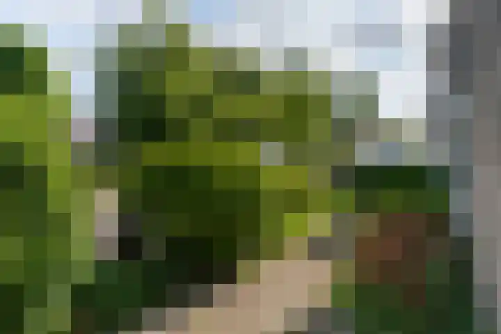 Buitenlandpoort 28 Vianen thumbnail 54