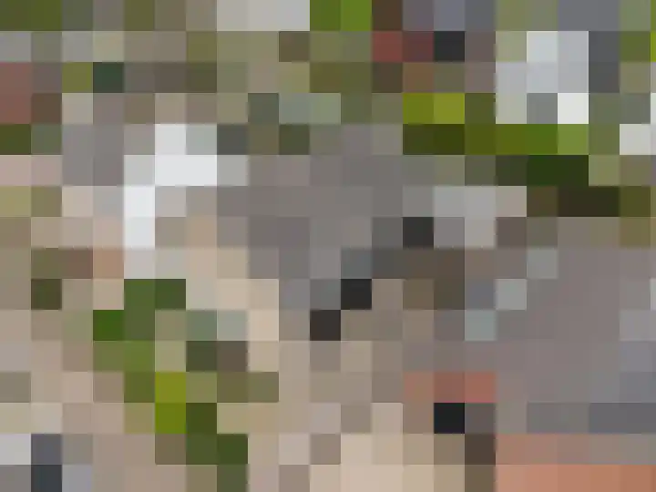 Buitenlandpoort 28 Vianen thumbnail 55