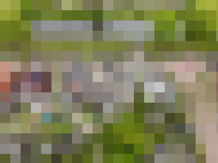 Buitenlandpoort 28 Vianen thumbnail 56