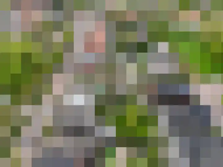 Buitenlandpoort 28 Vianen thumbnail 57