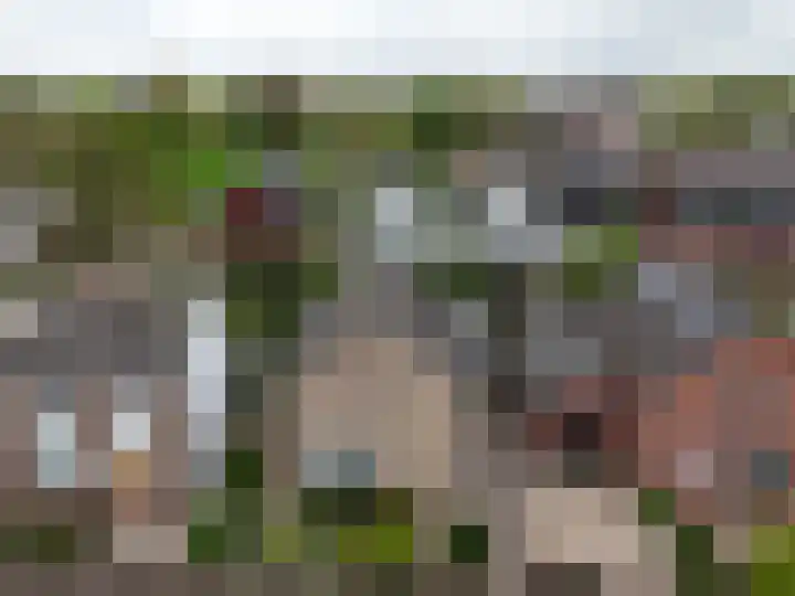 Buitenlandpoort 28 Vianen thumbnail 58