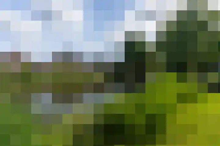 Buitenlandpoort 28 Vianen thumbnail 60