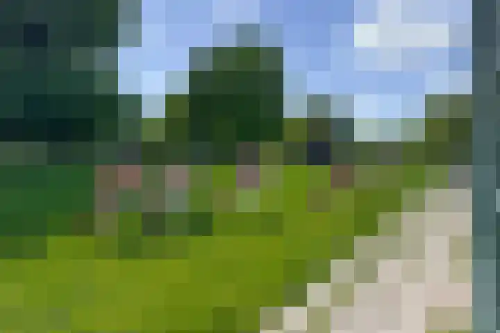 Buitenlandpoort 28 Vianen thumbnail 61