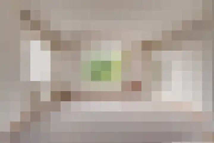 Buitenlandpoort 28 Vianen thumbnail 8