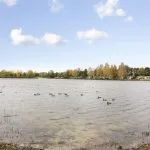 Photo d'équipe de BuitenLeven Recreatiemakelaar