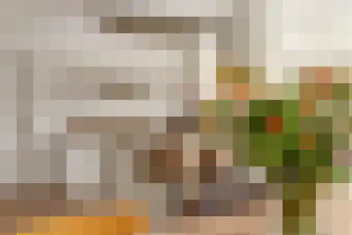 Buitenlust 10 Sleeuwijk thumbnail 14