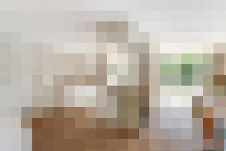 Buitenlust 10 Sleeuwijk thumbnail 16