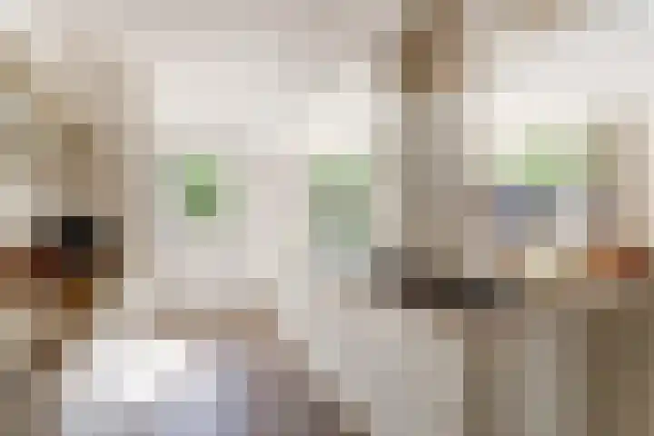 Buitenlust 10 Sleeuwijk thumbnail 17