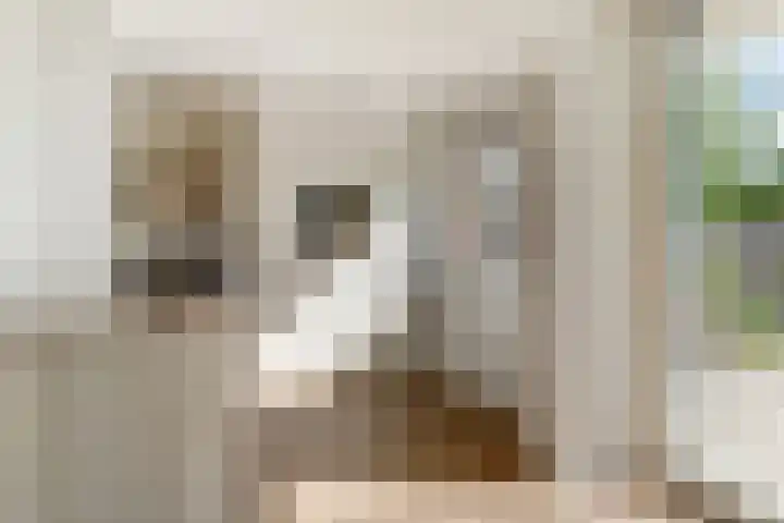 Buitenlust 10 Sleeuwijk thumbnail 20
