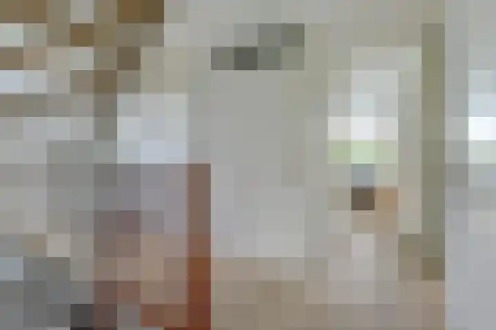 Buitenlust 10 Sleeuwijk thumbnail 23