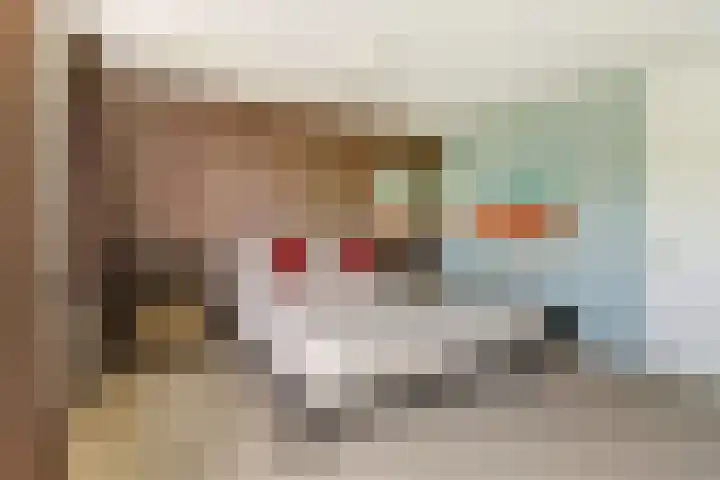 Buitenlust 10 Sleeuwijk thumbnail 24