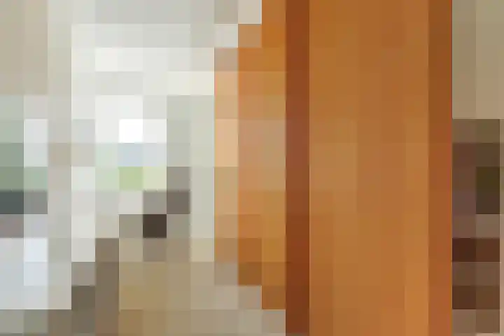 Buitenlust 10 Sleeuwijk thumbnail 30