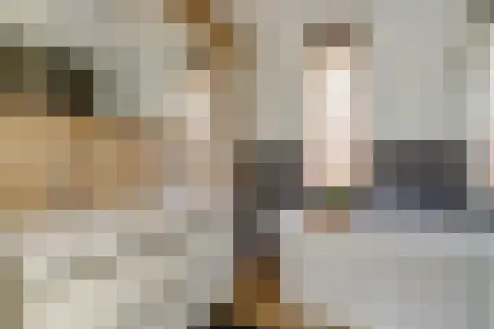Buitenlust 10 Sleeuwijk thumbnail 32