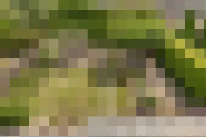 Buitenlust 10 Sleeuwijk thumbnail 45