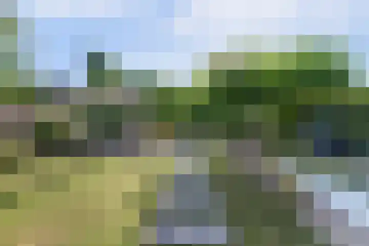 Buitenlust 10 Sleeuwijk thumbnail 46