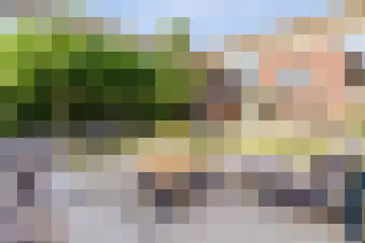 Buitenlust 10 Sleeuwijk thumbnail 47