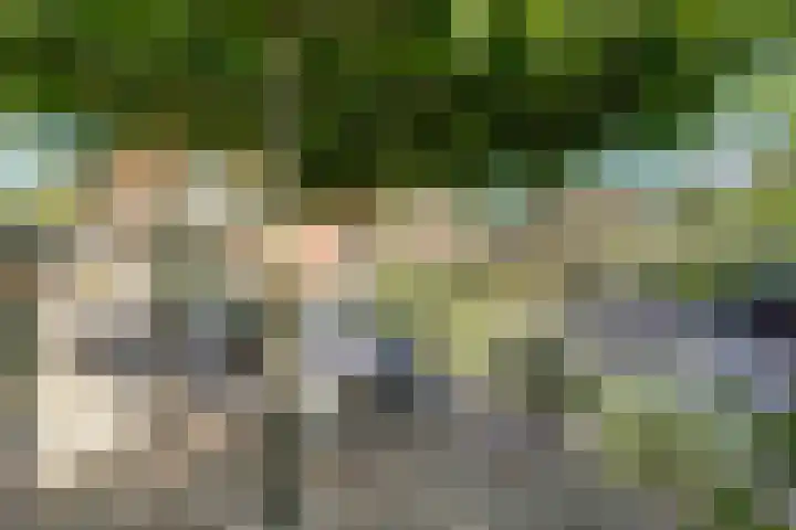 Buitenlust 10 Sleeuwijk thumbnail 49