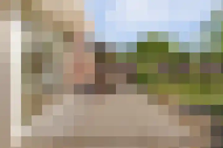 Buitenlust 10 Sleeuwijk thumbnail 52