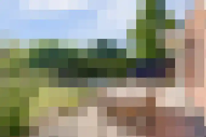 Buitenlust 10 Sleeuwijk thumbnail 53