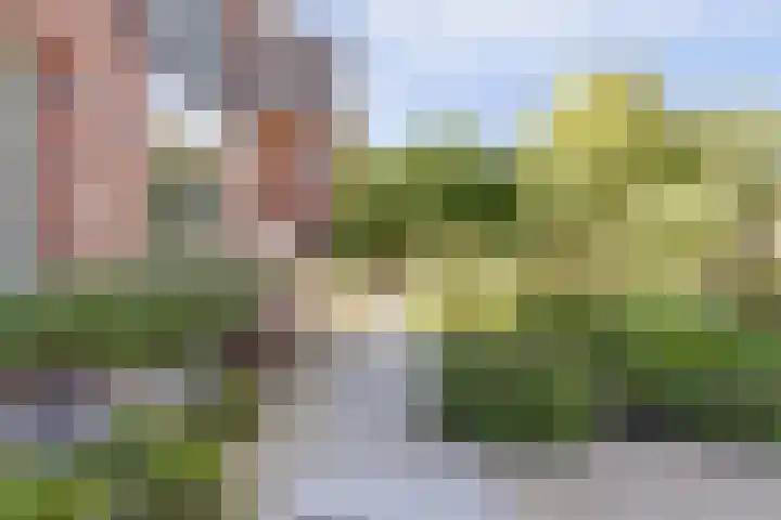 Buitenlust 10 Sleeuwijk thumbnail 55