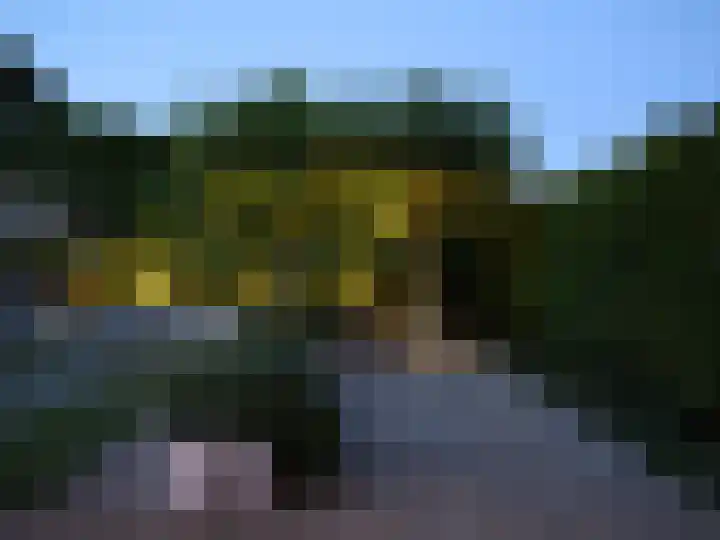 Buitenlust 10 Sleeuwijk thumbnail 56