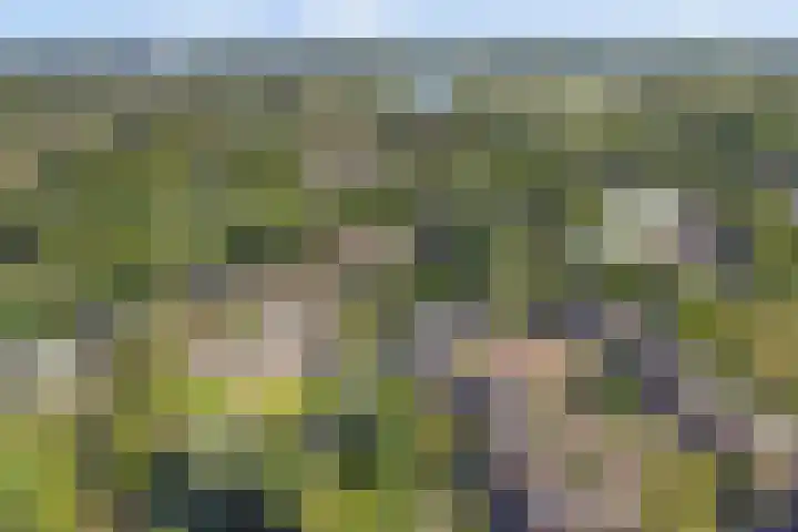 Buitenlust 10 Sleeuwijk thumbnail 58
