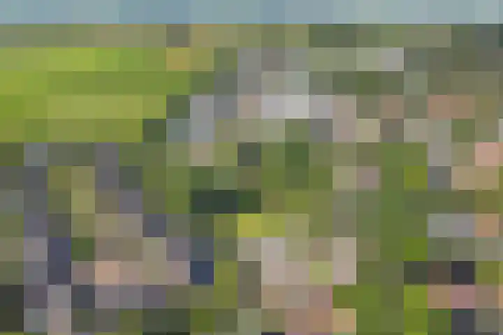 Buitenlust 10 Sleeuwijk thumbnail 59