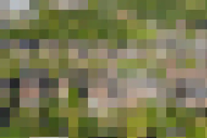 Buitenlust 10 Sleeuwijk thumbnail 60