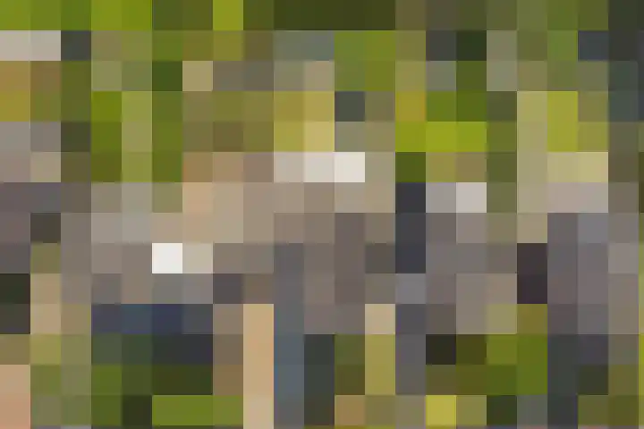Buitenlust 10 Sleeuwijk thumbnail 61