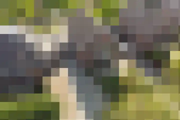 Buitenlust 10 Sleeuwijk thumbnail 62