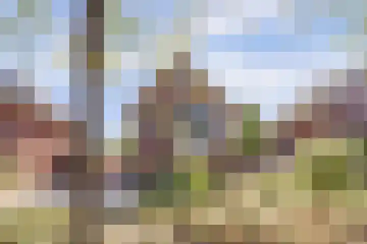 Buitenlust 10 Sleeuwijk thumbnail 63