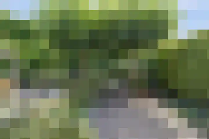 Buitenlust 10 Sleeuwijk thumbnail 64