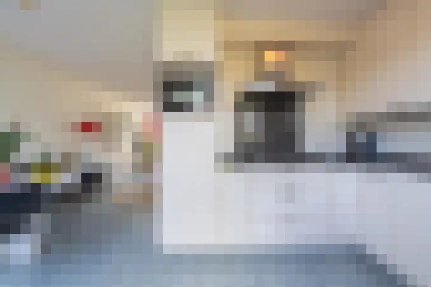 Buitenlust 116 Tiel thumbnail 24